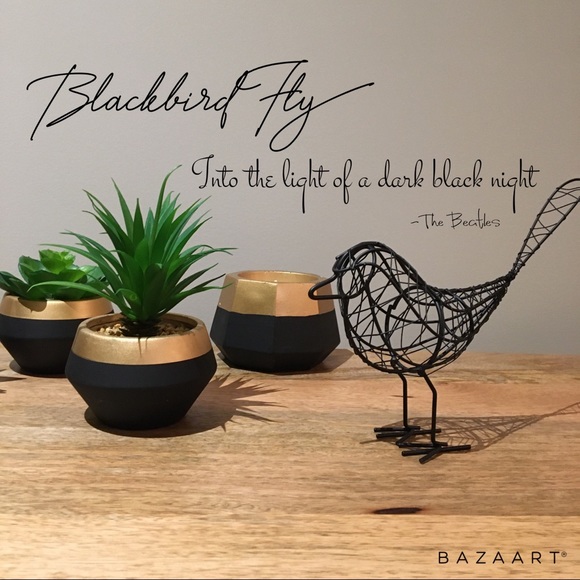 Meet your Posher, Blackbird_Fly - Picture 1 of 1